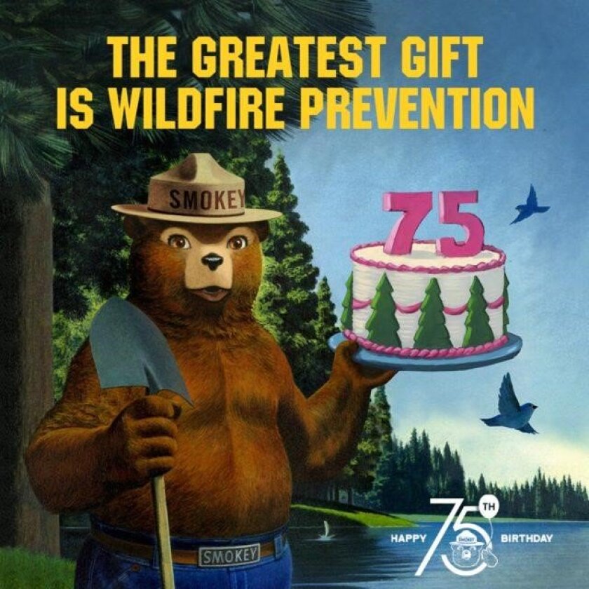 smokey the bear history